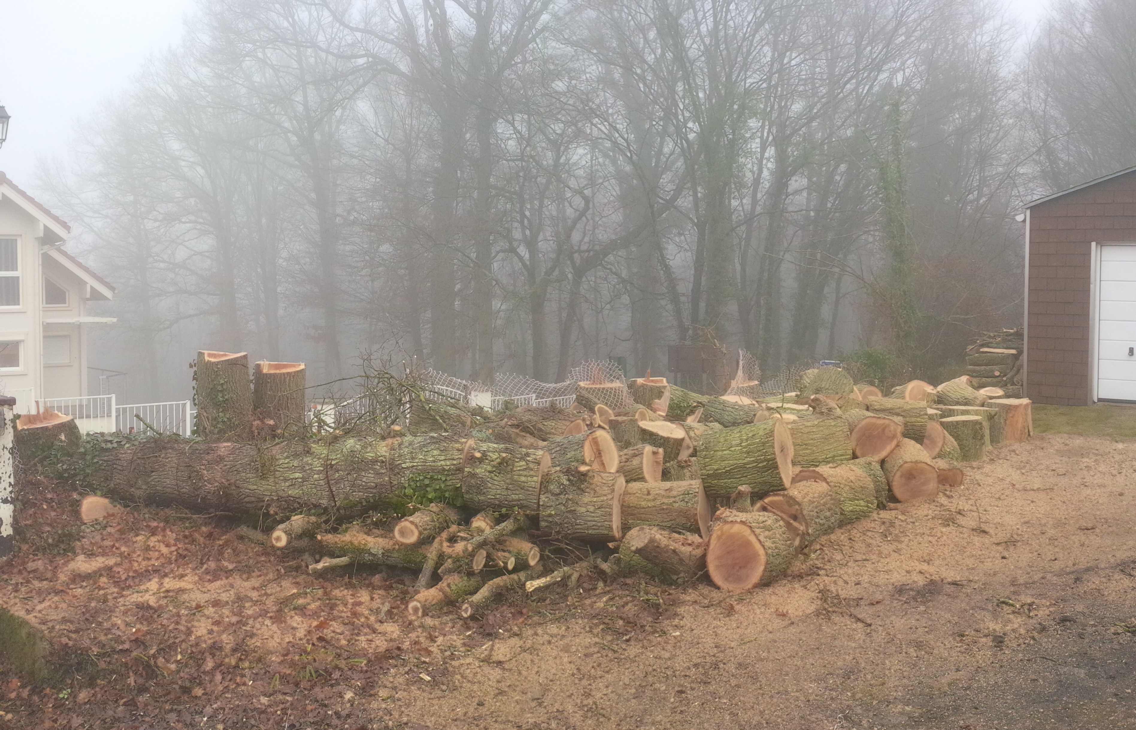 elagage abattage Boissy le Châtel 77169